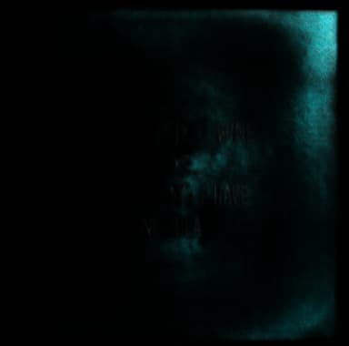 A Day Without Wine Napkins