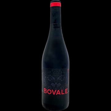 Isaac Fernandez Seleccion Bovale 2015